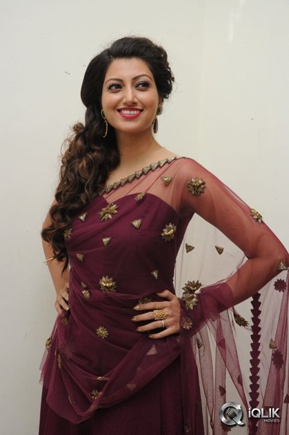Hamsa-Nandini-at-Bengal-Tiger-Movie-Audio-Launch